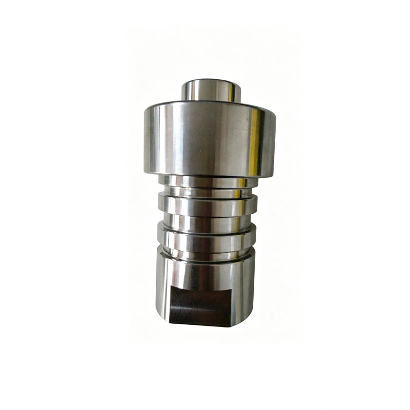 190009-1 020077-1 Check Valve Main Body